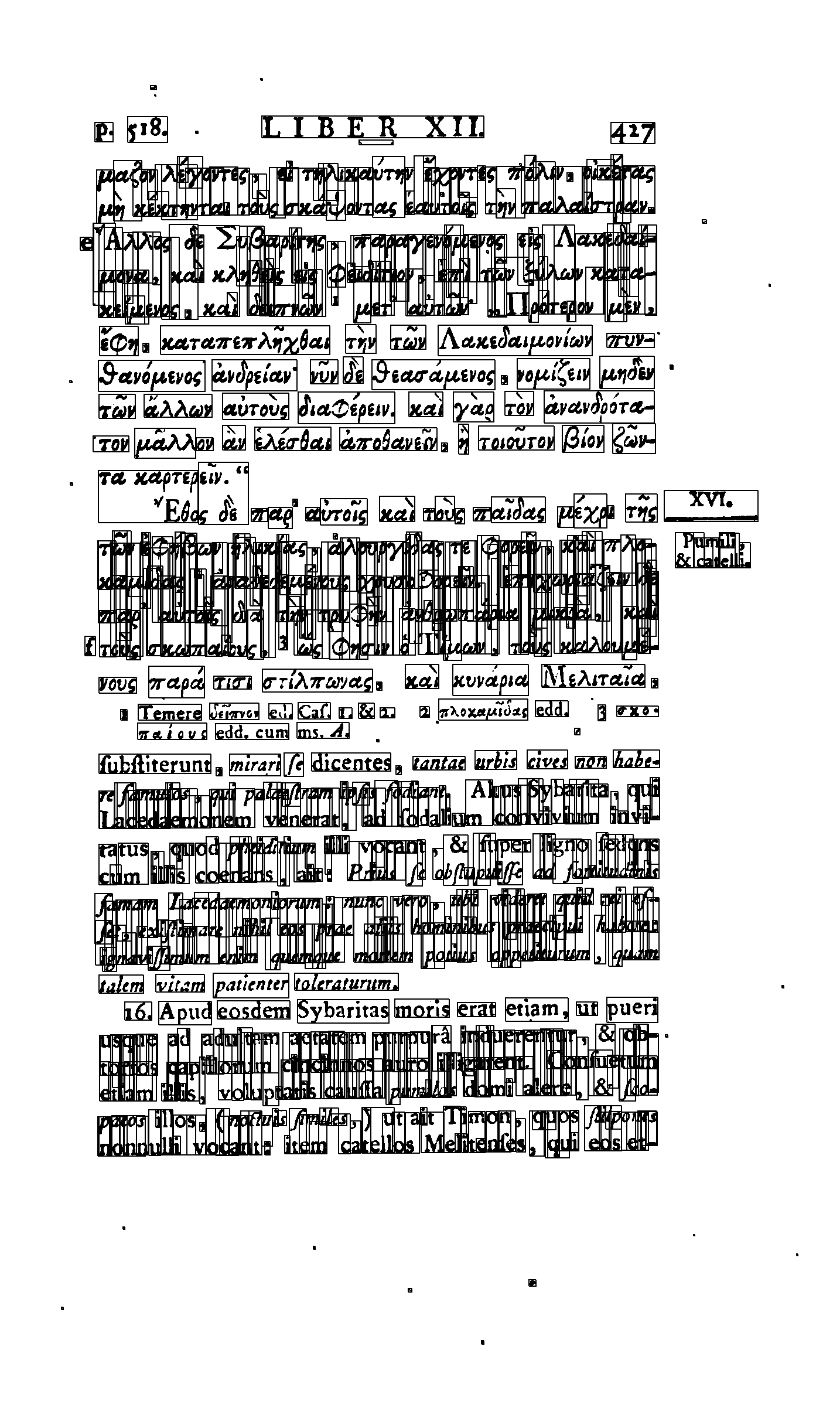 page imgae